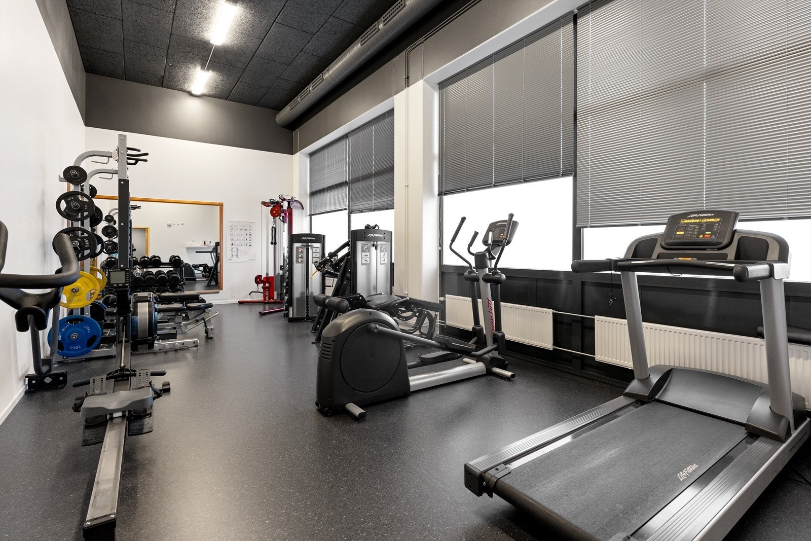 DSCF6527.jpg Galleribilde