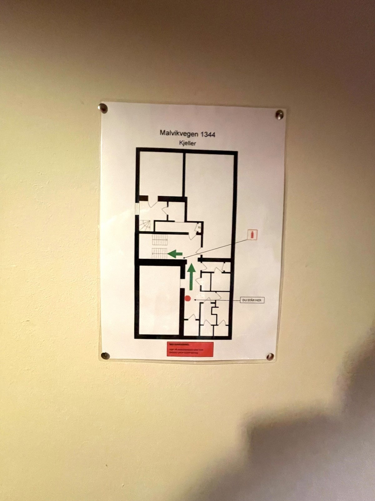 Areal kjeller. Galleribilde