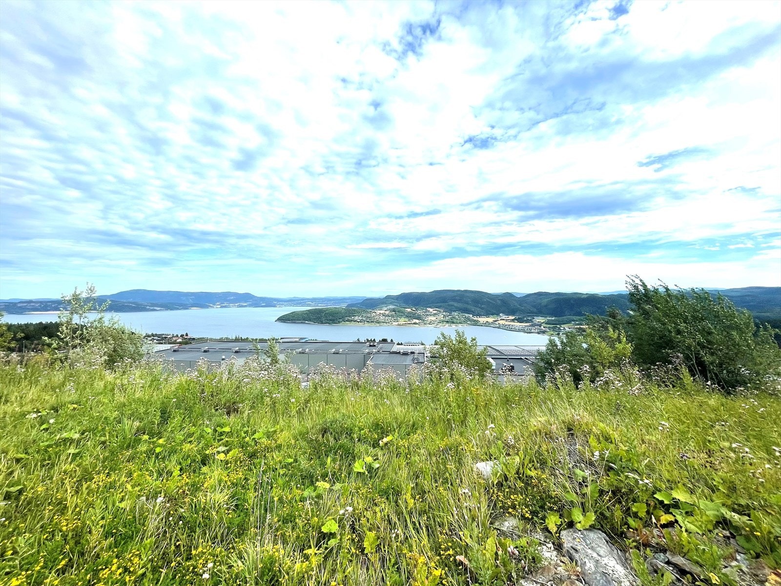 Utsikt mot Hommelvik Galleribilde