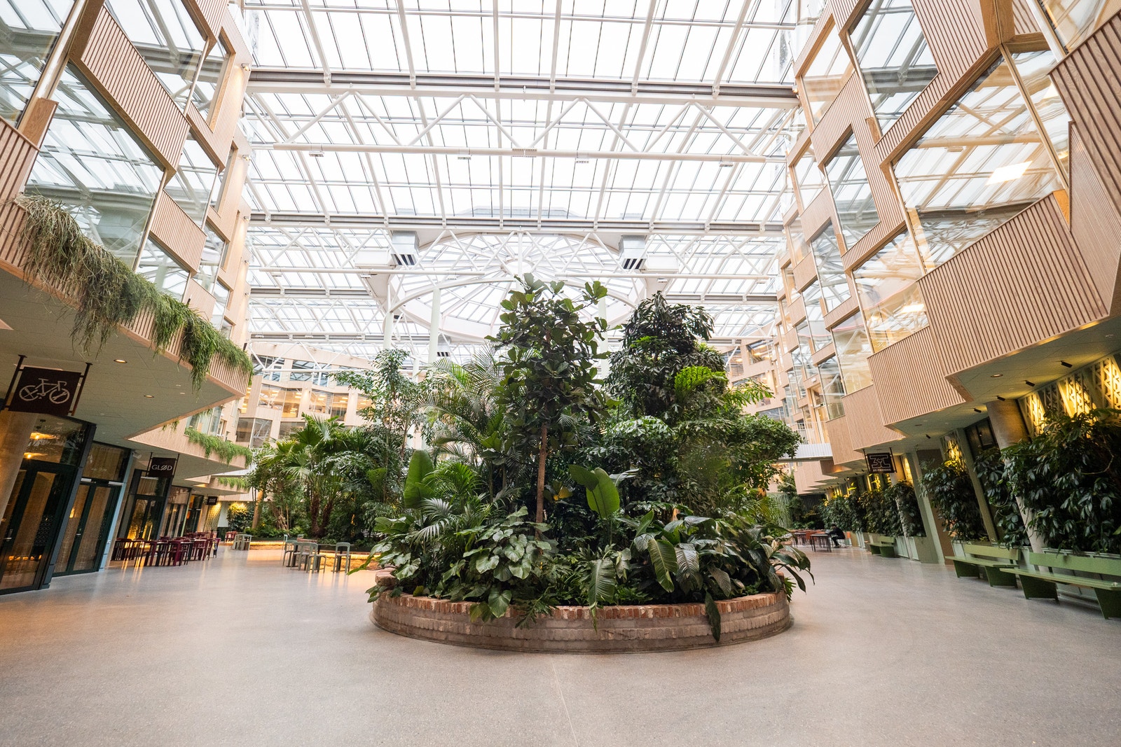 Velkommen inn i Hagen! En subtropisk Hage, et unikt byrom skapt i senter av bygget. Her er det spiseplass til lunsj, flere arrangementer og sitteplasser for uformelle prater med venner og kollegaer. Galleribilde