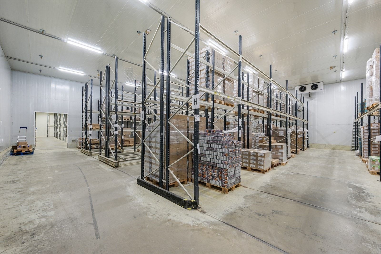 Fryselager Galleribilde