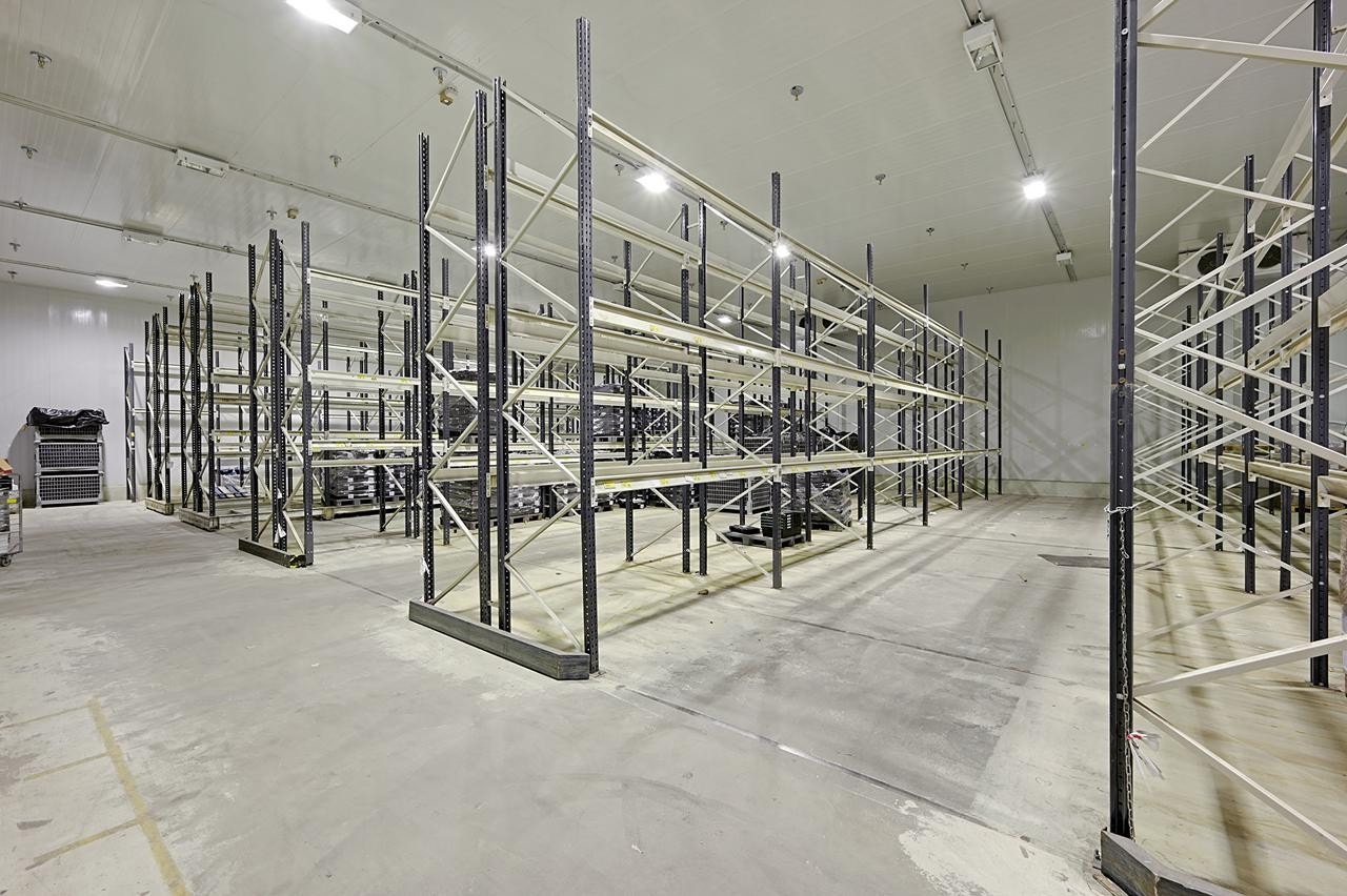 Fryselager Galleribilde