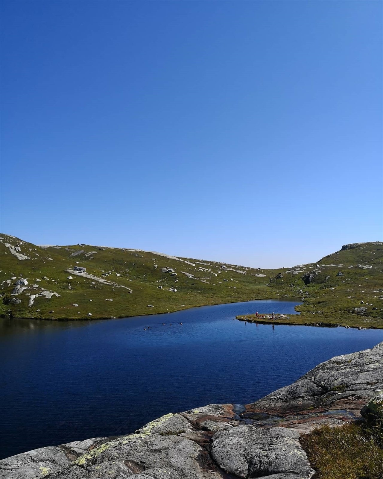Flere vann innenfor gangavstand Galleribilde