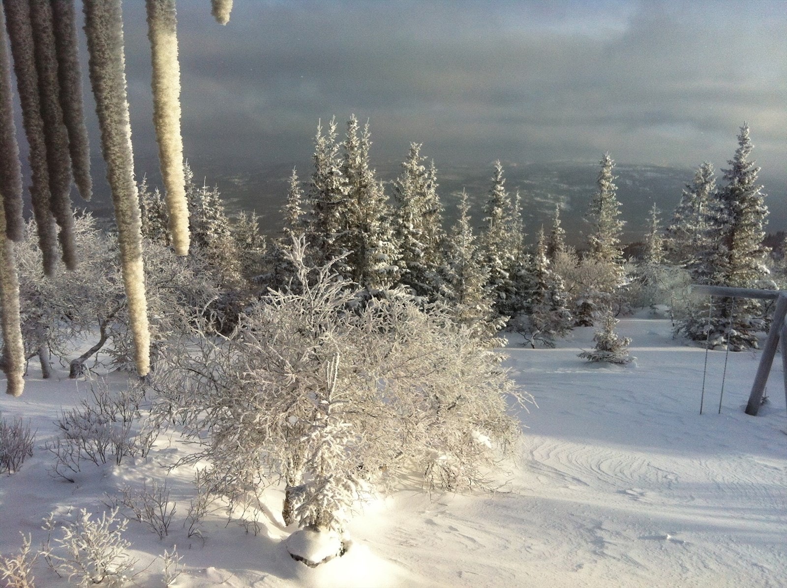 Stemningsbilde fra Lifjell Galleribilde