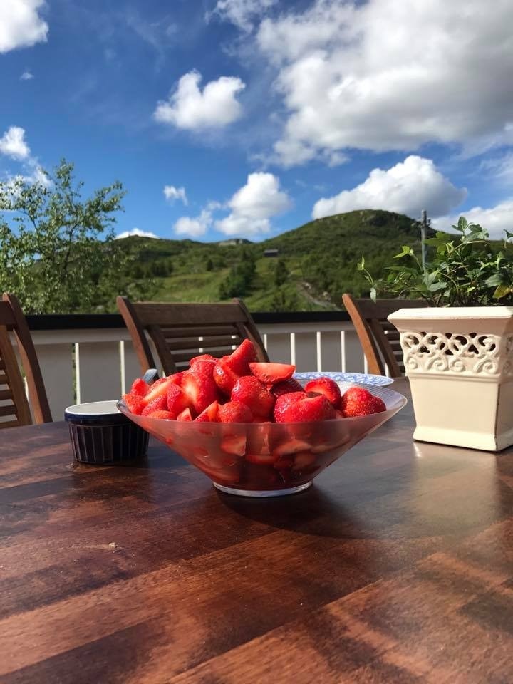 Sommer på Lifjellstua Galleribilde