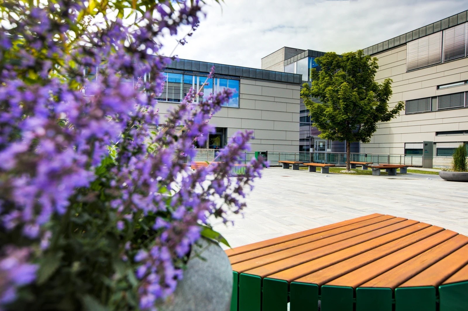 Adkomsten preges av hyggelige sittegrupper og flott beplantning. Bygget omkranses av grønne og naturskjønne omgivelser. Galleribilde