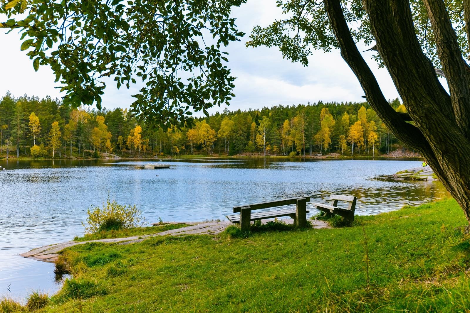 En kort spasertur unna ligger Vesletjern, der man kan går tur eller bade om sommeren Galleribilde