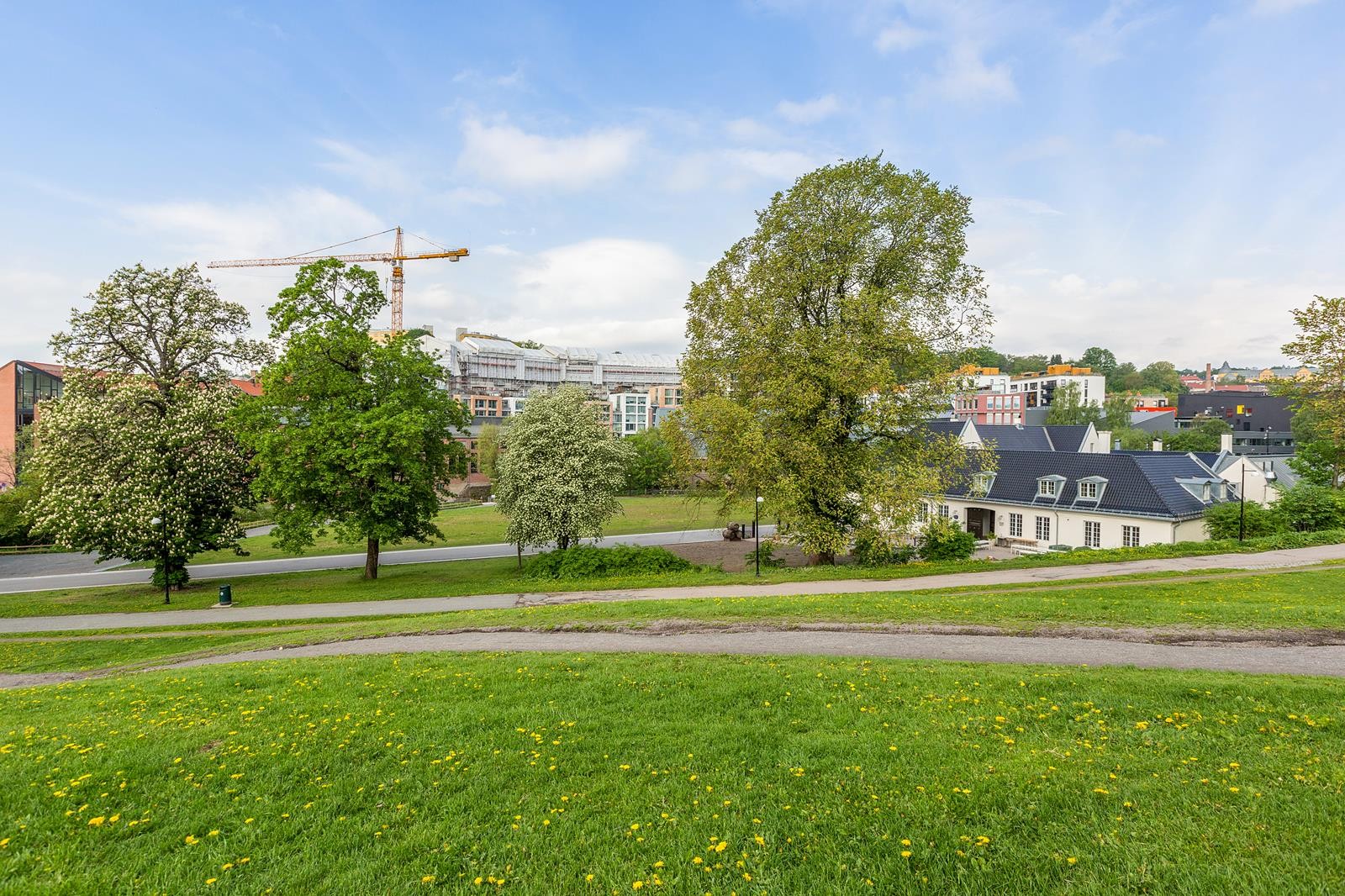 Grünerhagen mot vest, man kan så vidt skimte eiendommen i bakgrunnen. Galleribilde