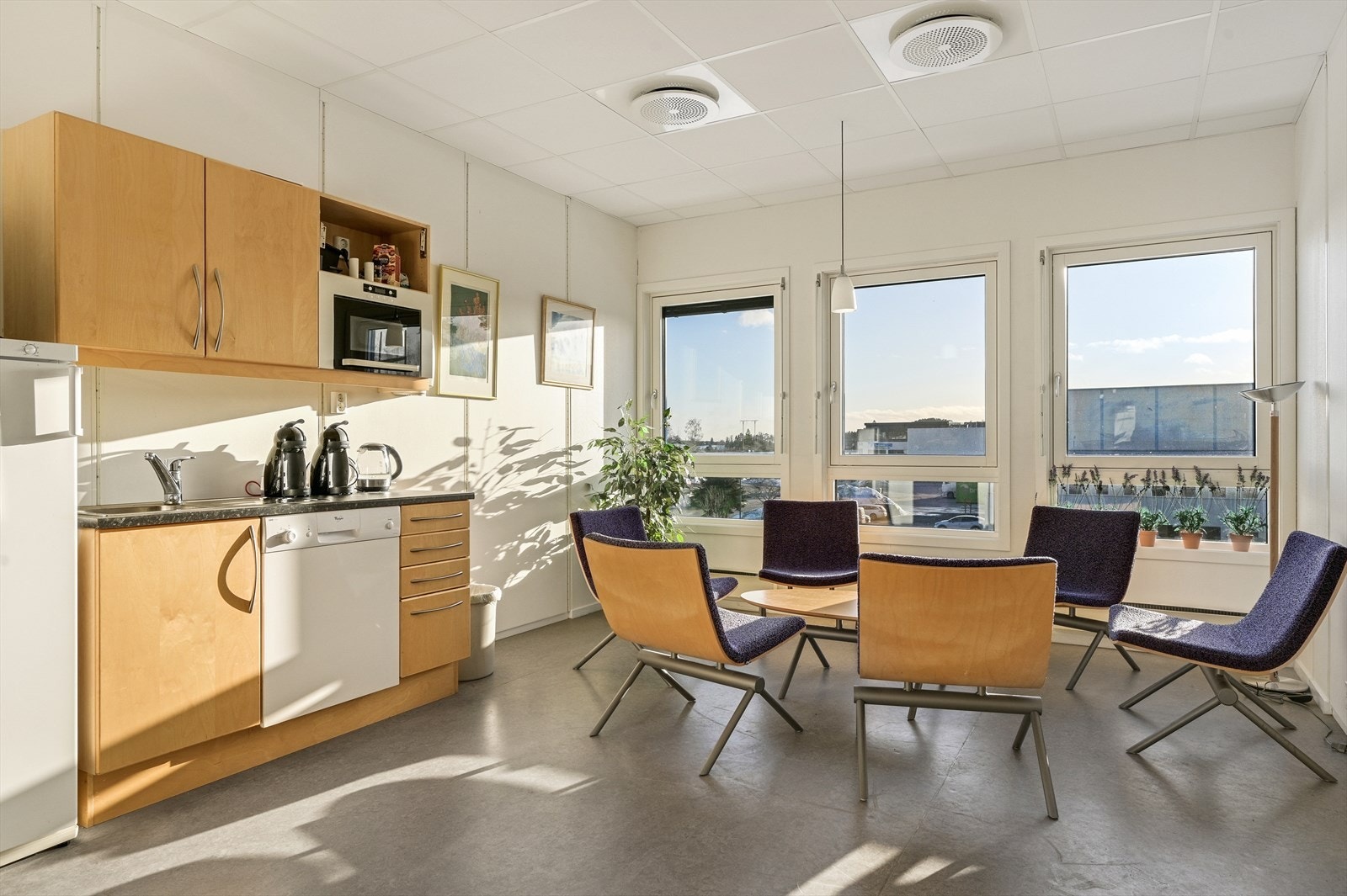 Sosial sone kontorfløy Galleribilde