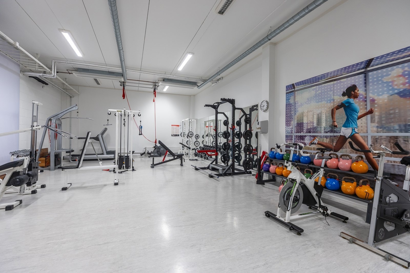 Treningsrom Galleribilde