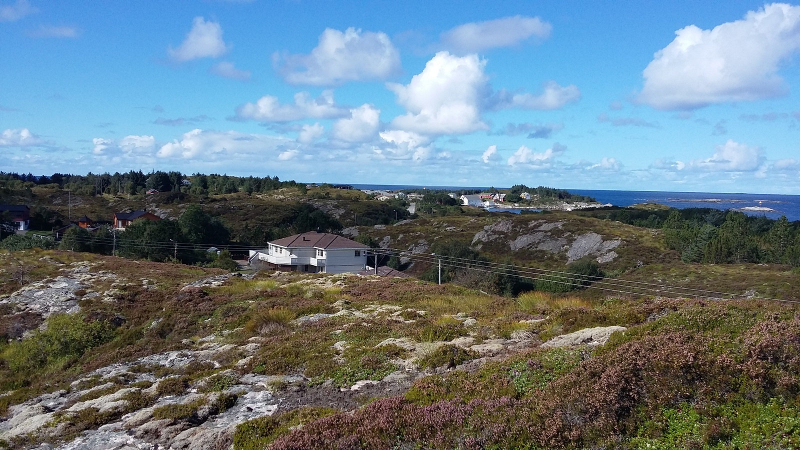 AVERØY Galleribilde