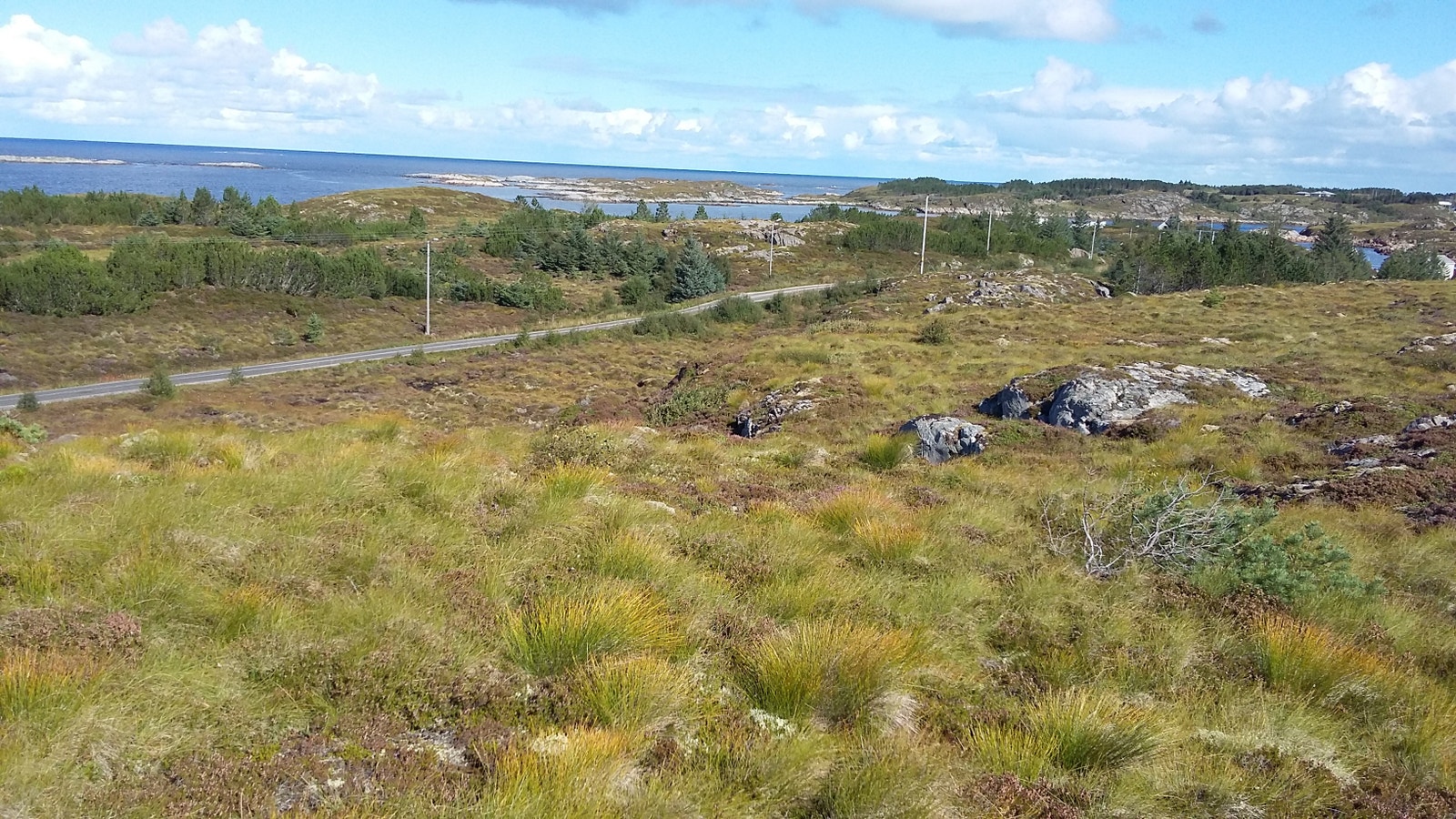 AVERØY Galleribilde