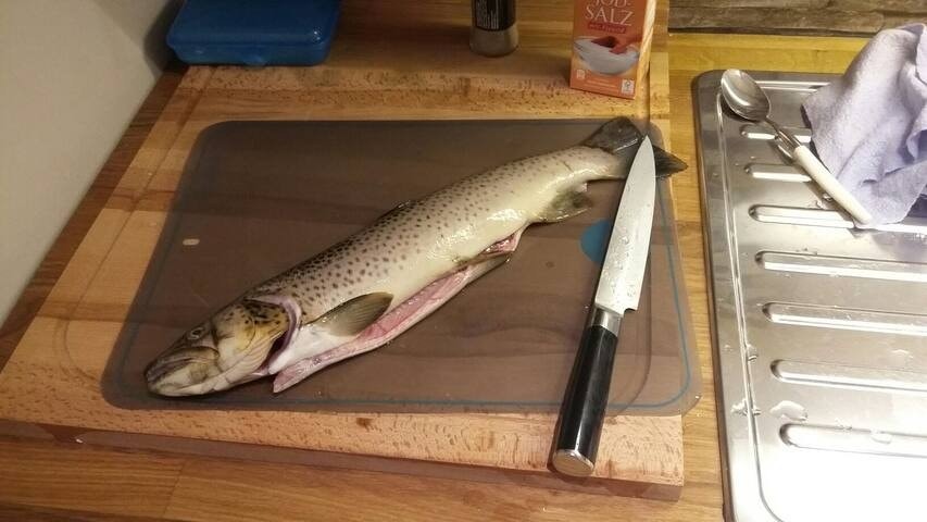 Ytre Hoem Galleribilde