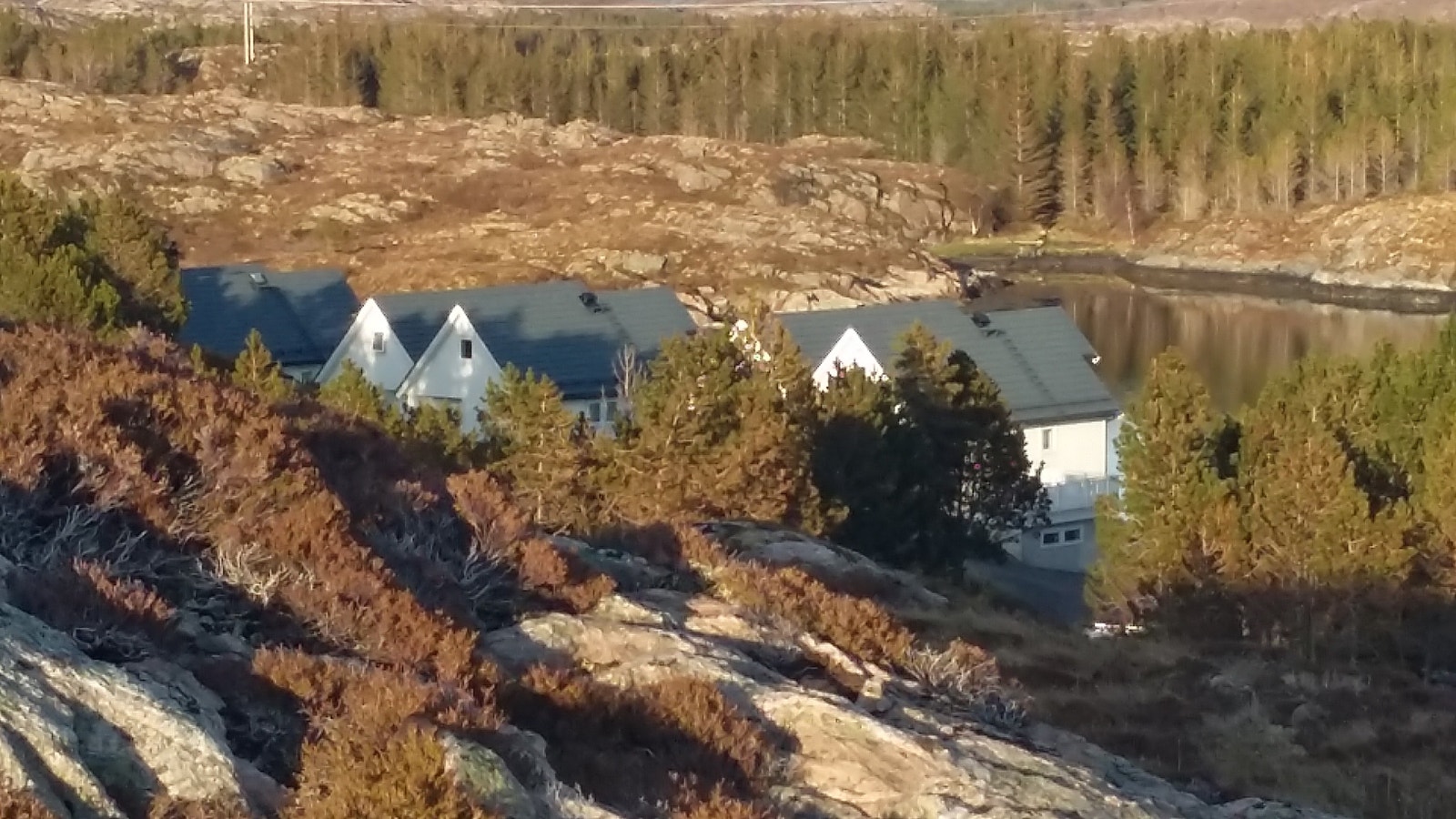 AVERØY Galleribilde