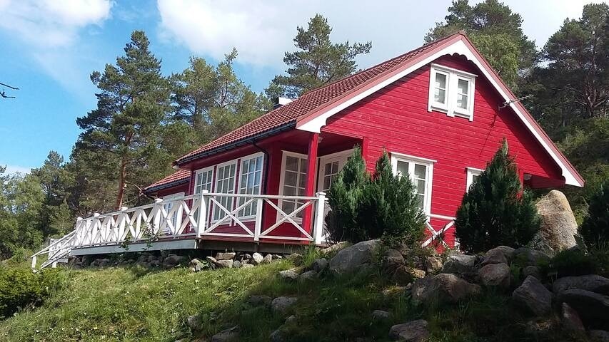 Ytre Hoem Galleribilde