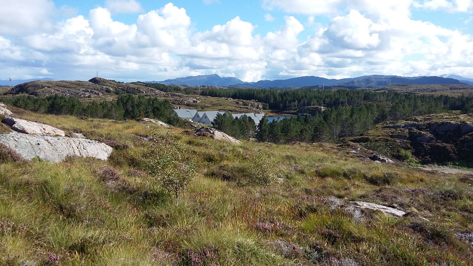 AVERØY Galleribilde