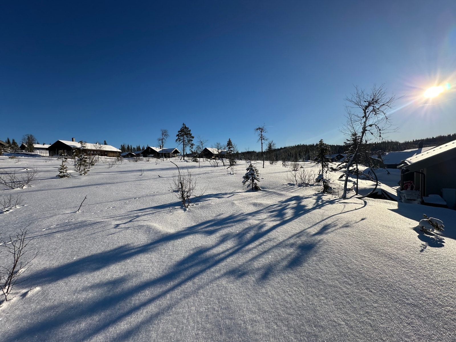 Friområdet bak tomten Galleribilde