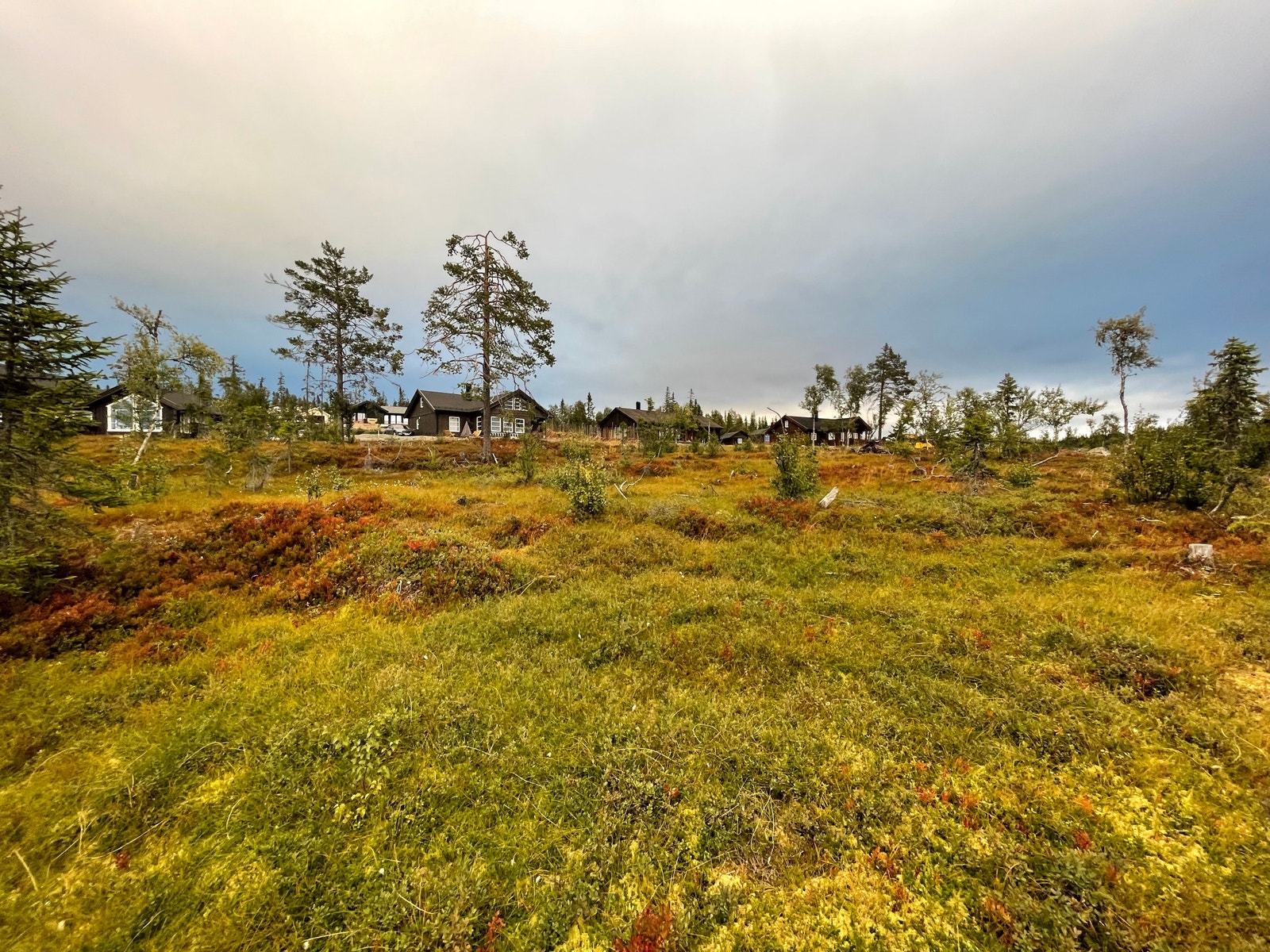 Friområdet bak tomten Galleribilde
