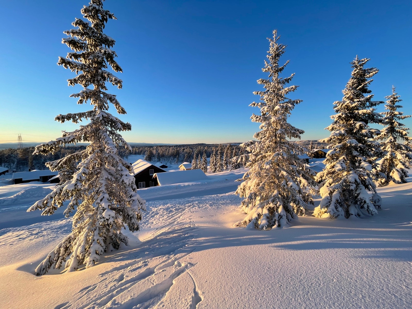 Utsikt mot vest Galleribilde