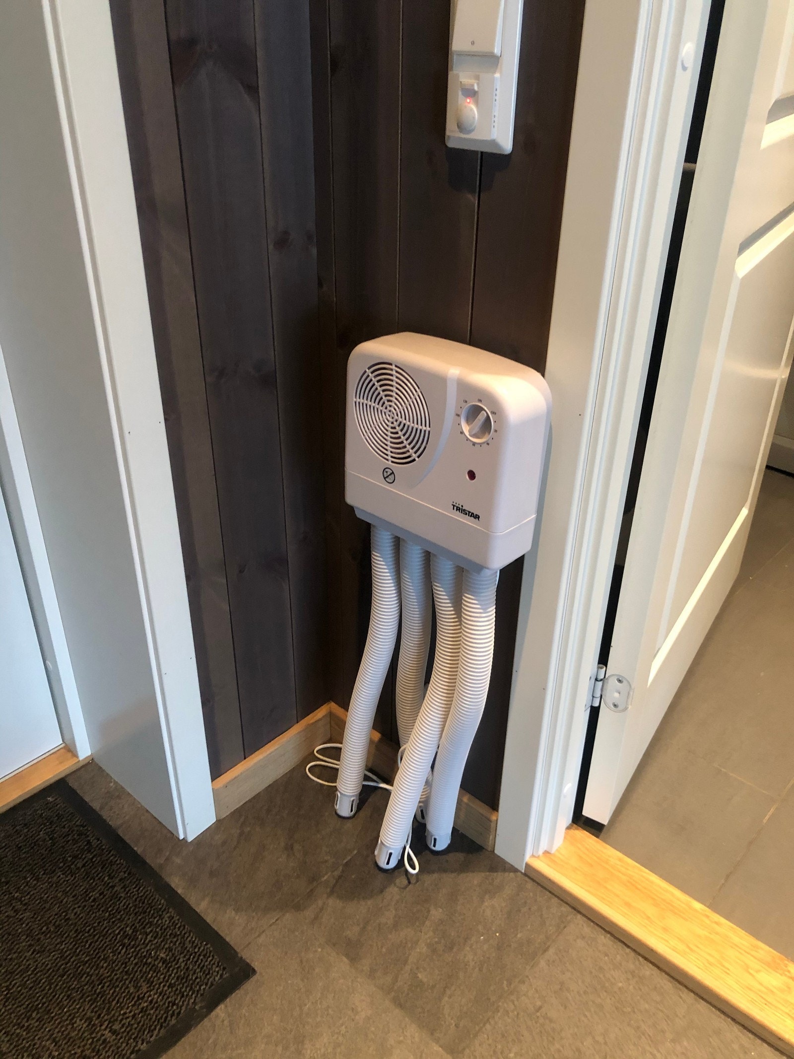 Skotørker ved inngangsdøren Galleribilde