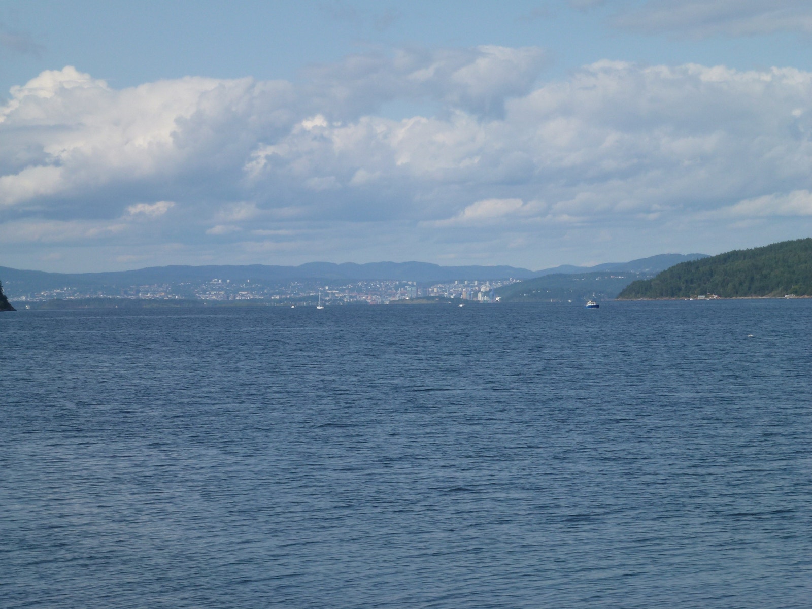 Oslo sentrum i horisonten. Galleribilde