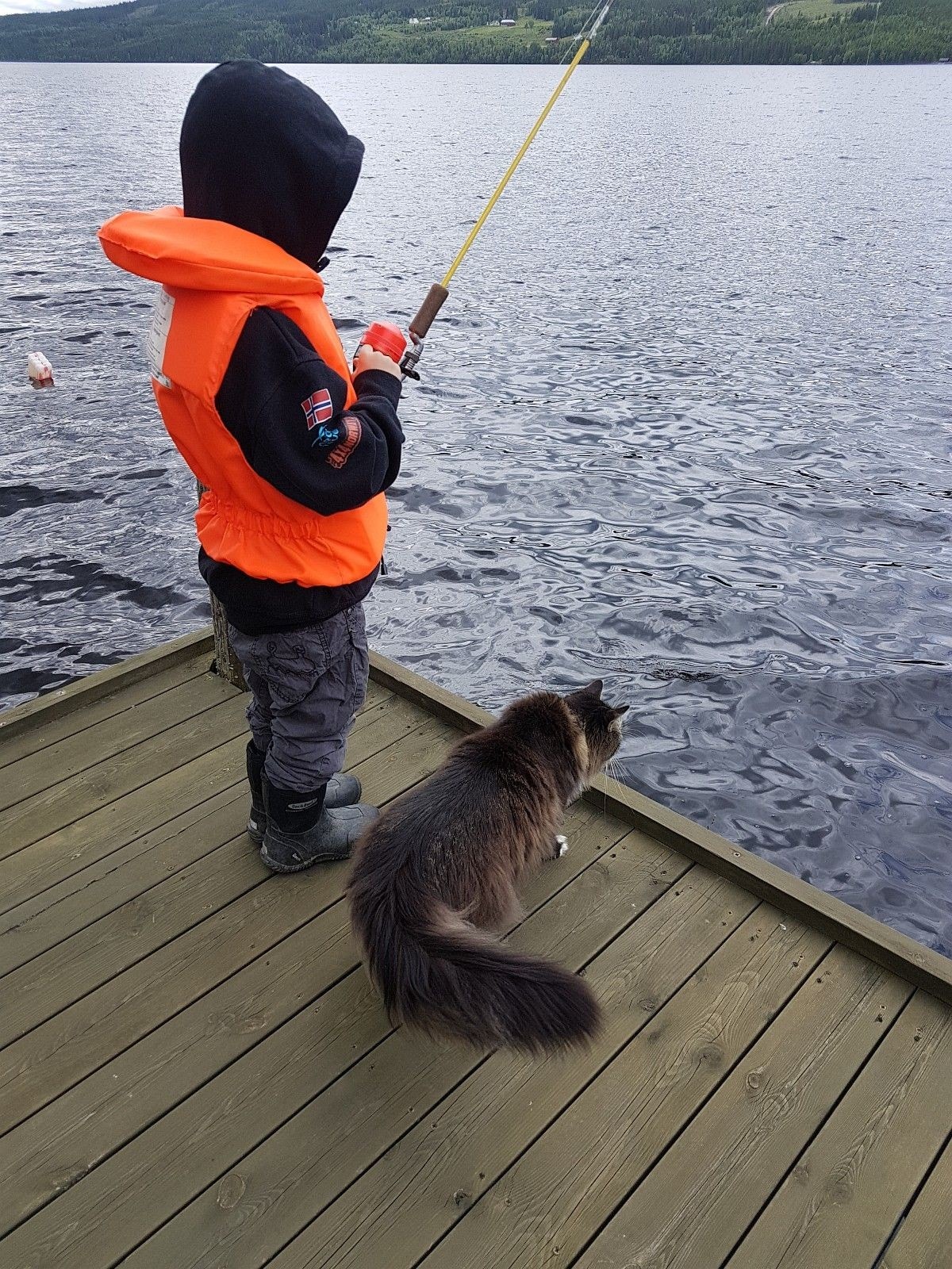 Mulighet for fiske Galleribilde