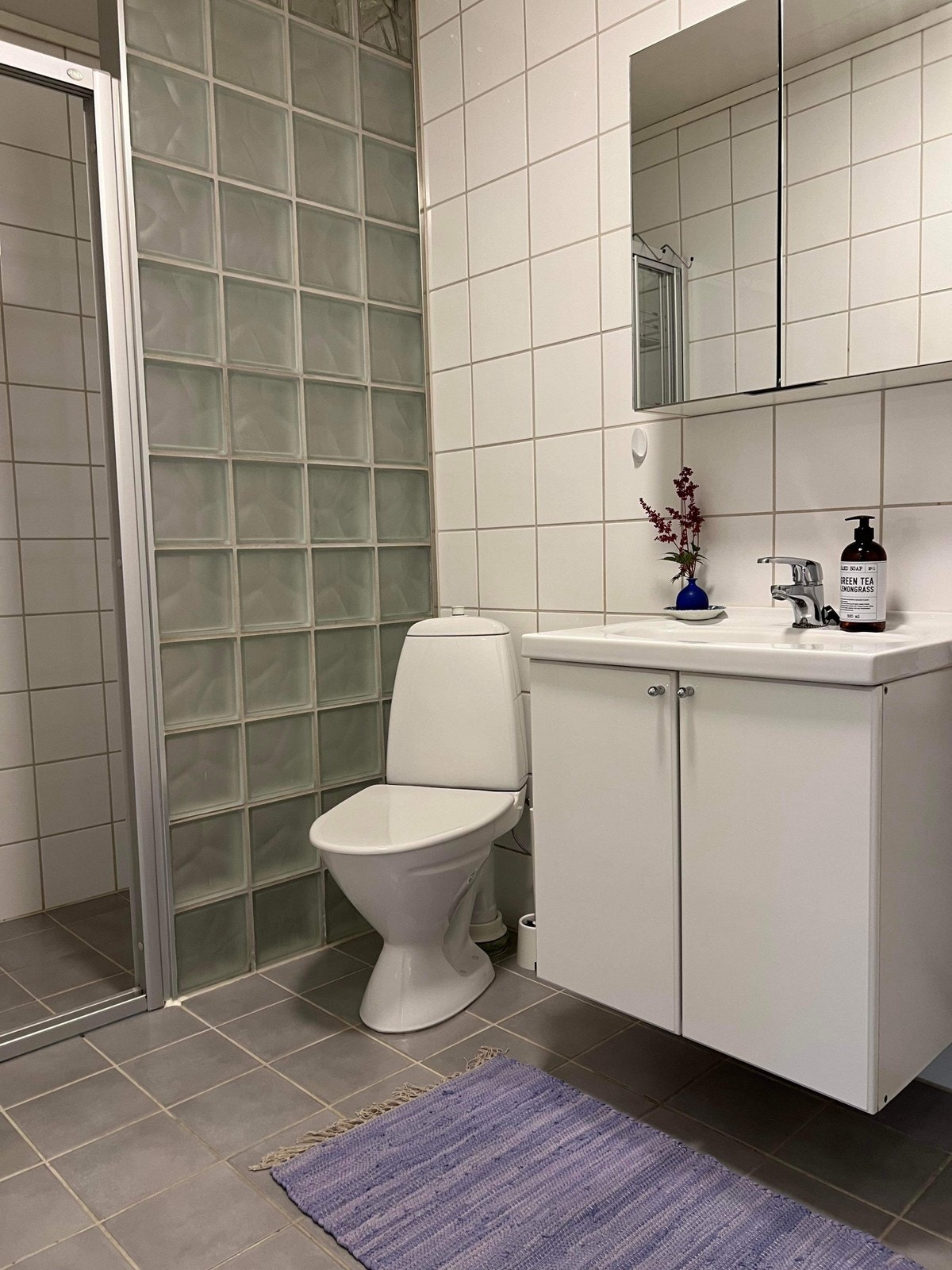 Trivelig bad med vaskemaskin og tørketrommel til fri disposisjon Galleribilde