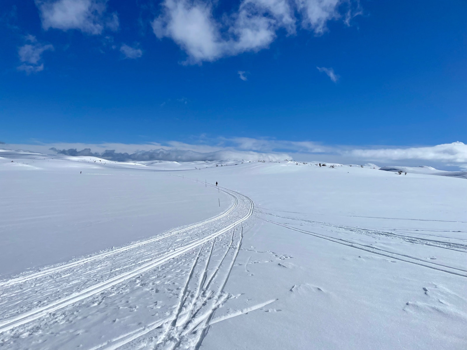 Snaufjellet Galleribilde