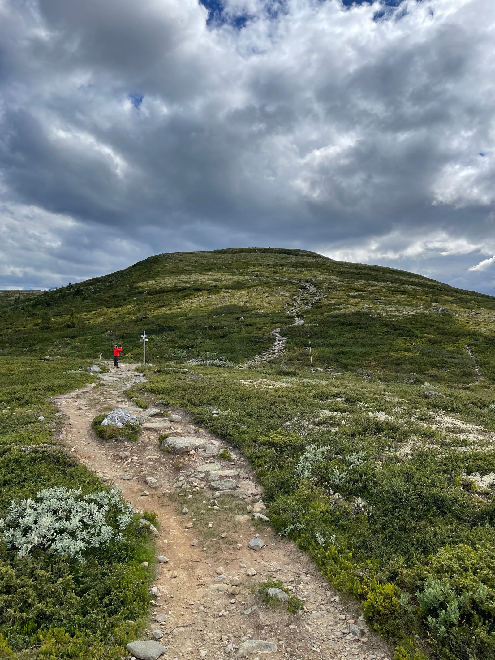 Åkrefjell med gåavstand og lett tilgang fra hytta. Galleribilde