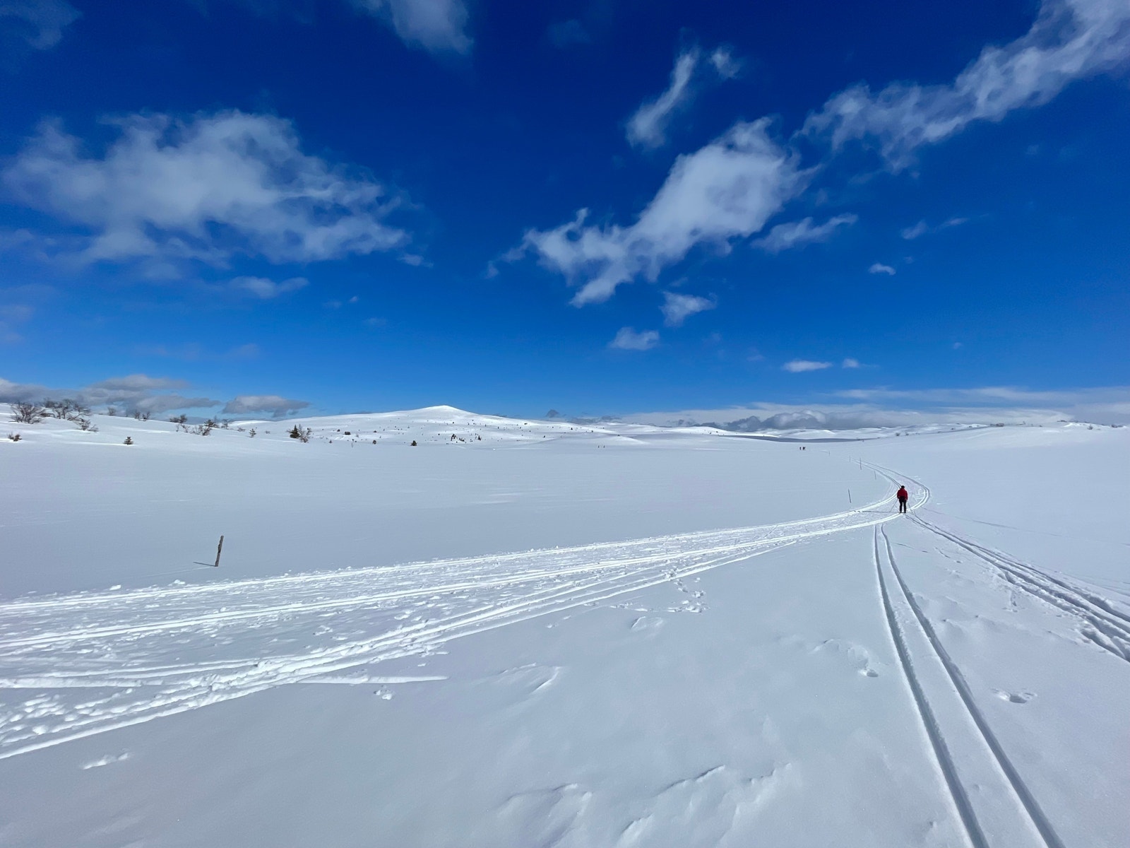 Snaufjellet Galleribilde