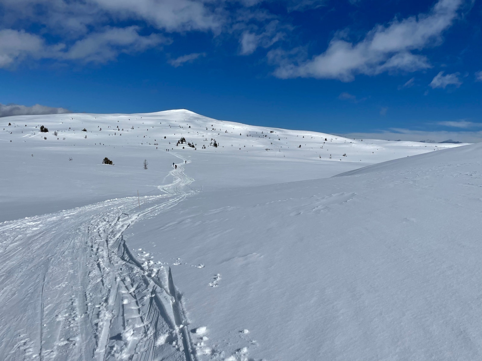 Snaufjellet Galleribilde