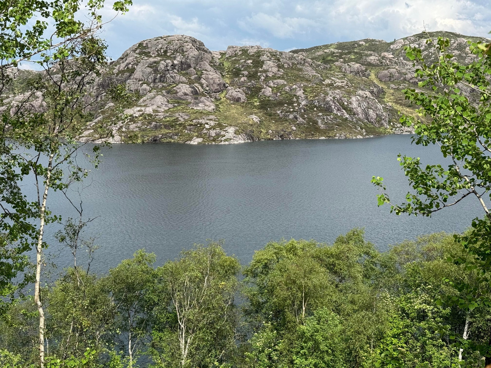 Utsikt fra tomt Galleribilde