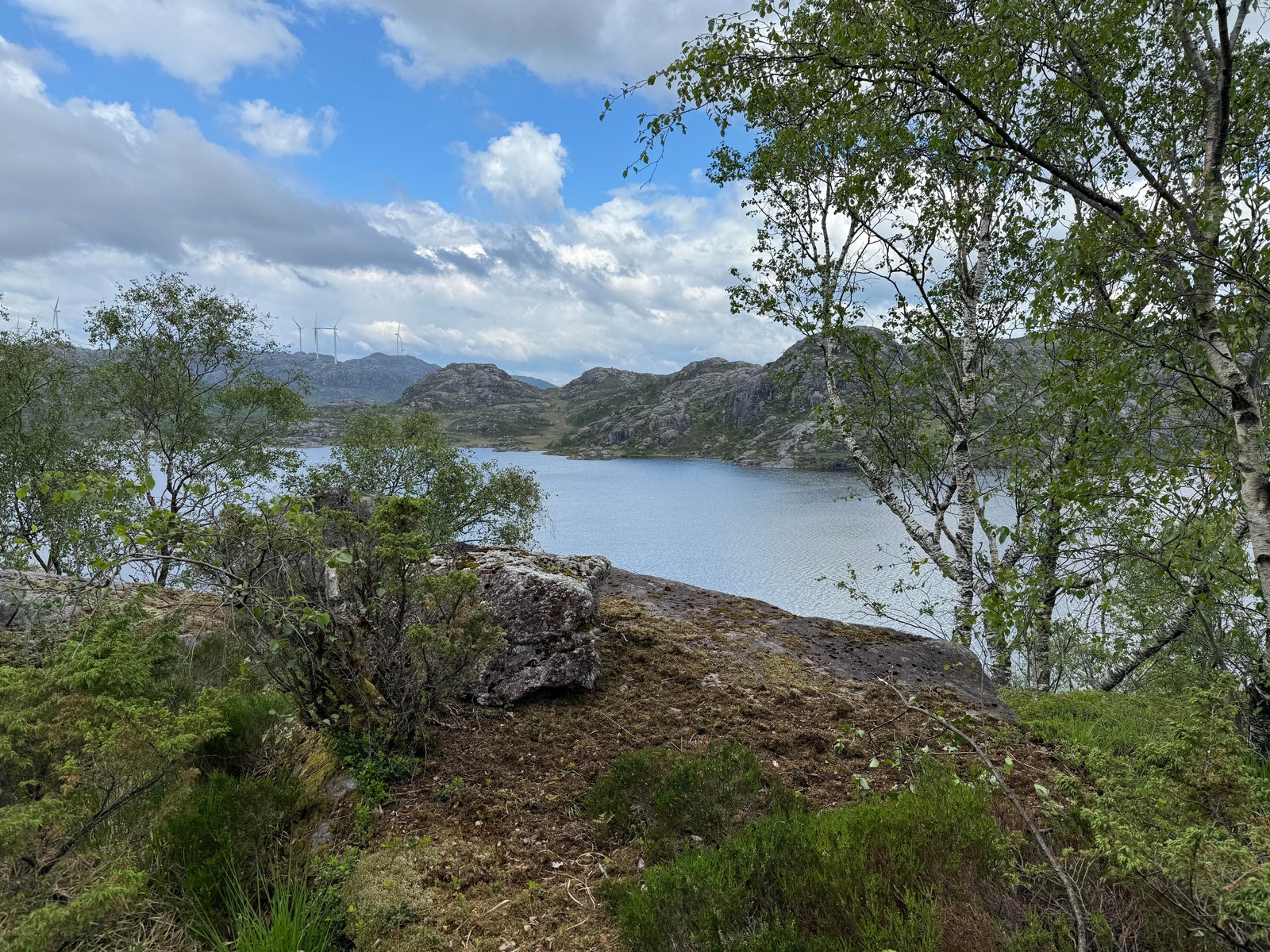 Utsikt fra tomt Galleribilde