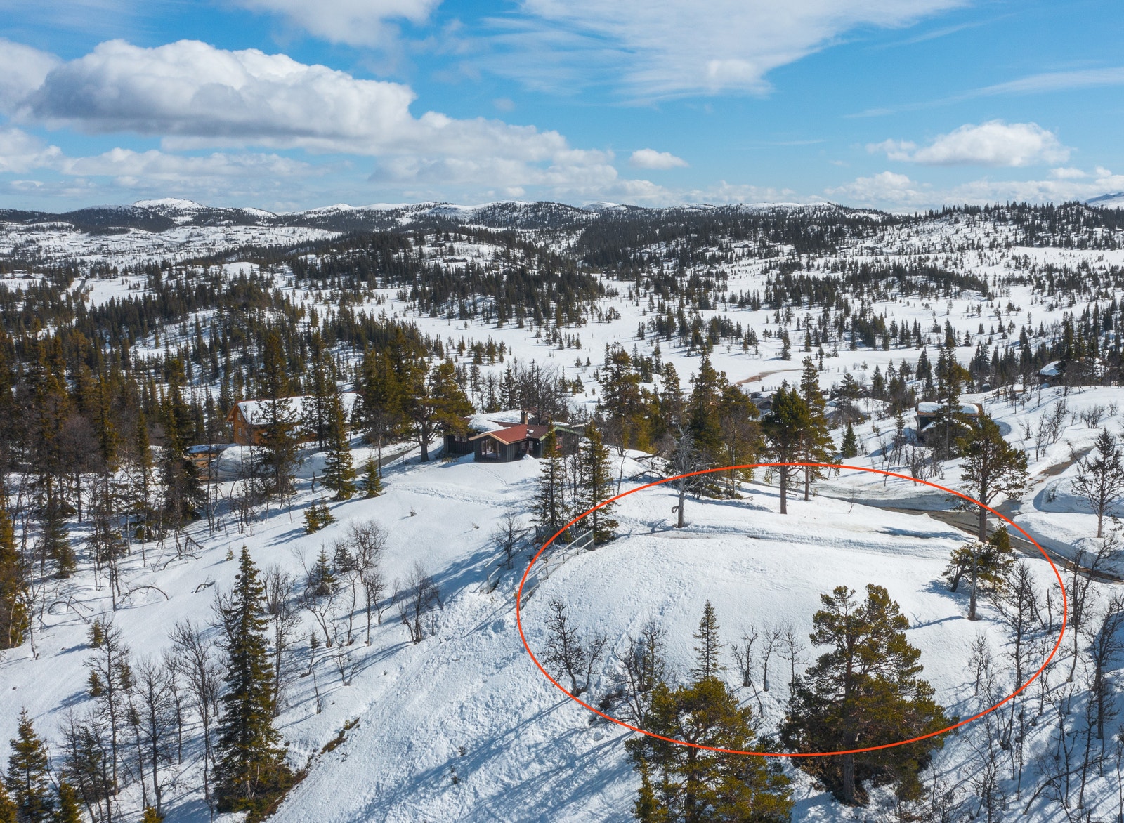 Mot sørøst. Galleribilde