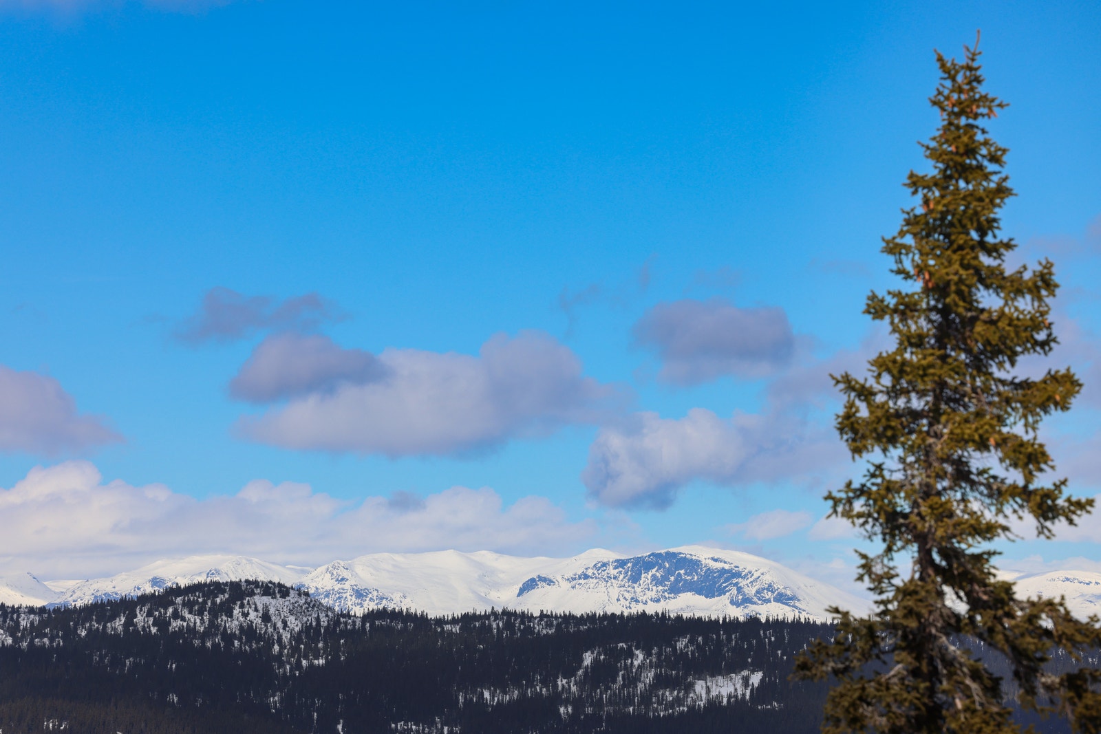 Utsikt mot Storefjell. Galleribilde