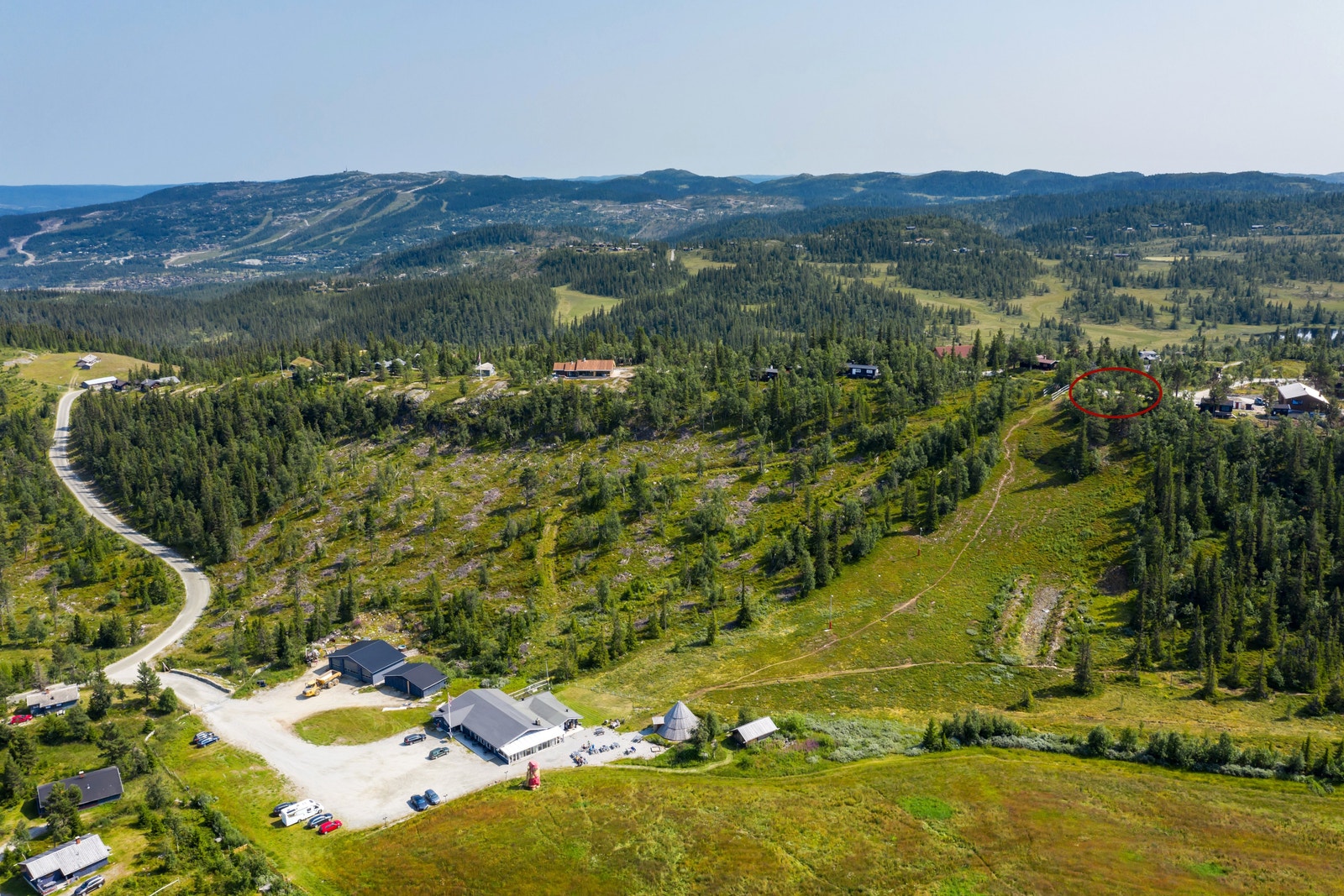 Sommerstid. Galleribilde