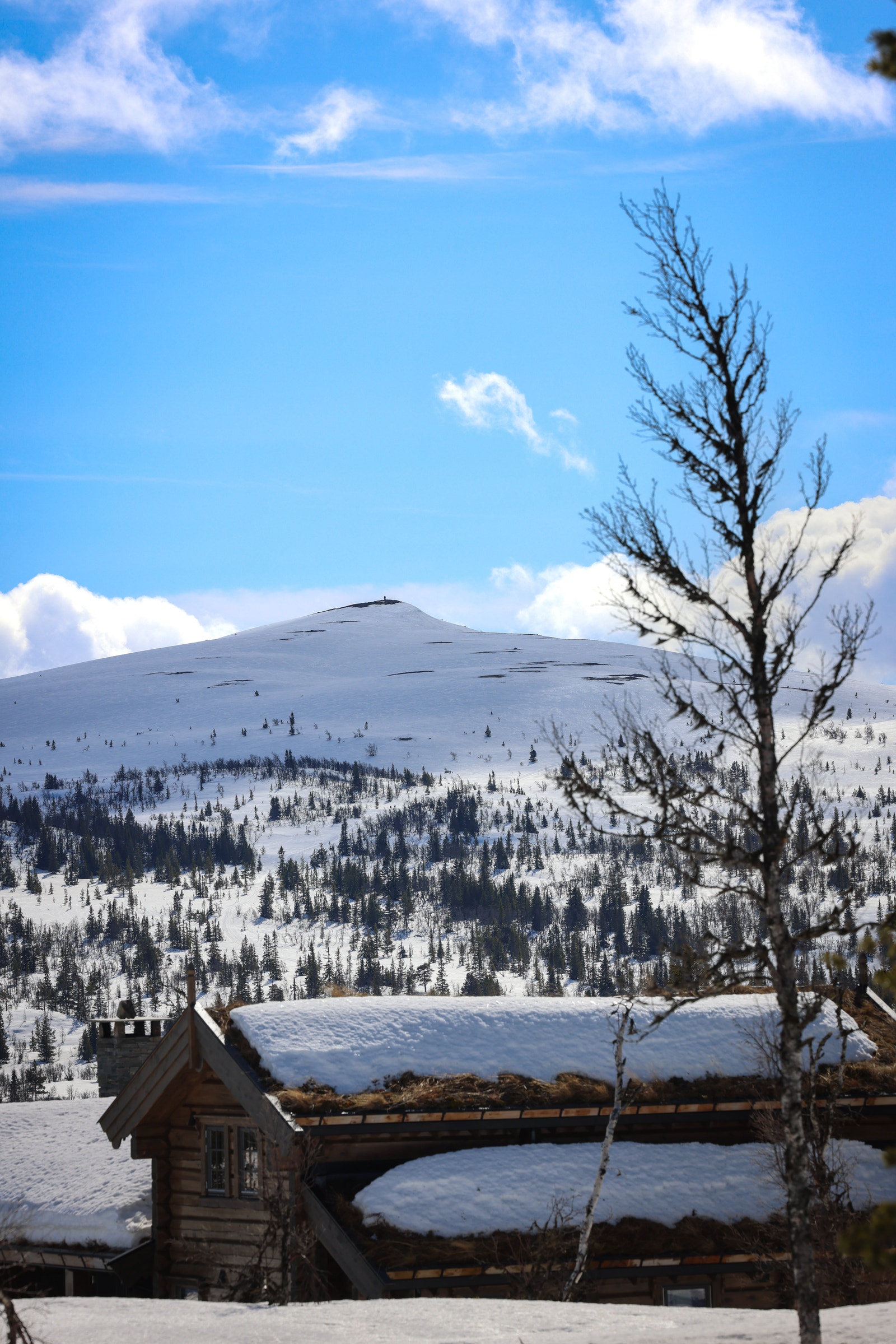 Utsikt mot Kvasshovd. Galleribilde