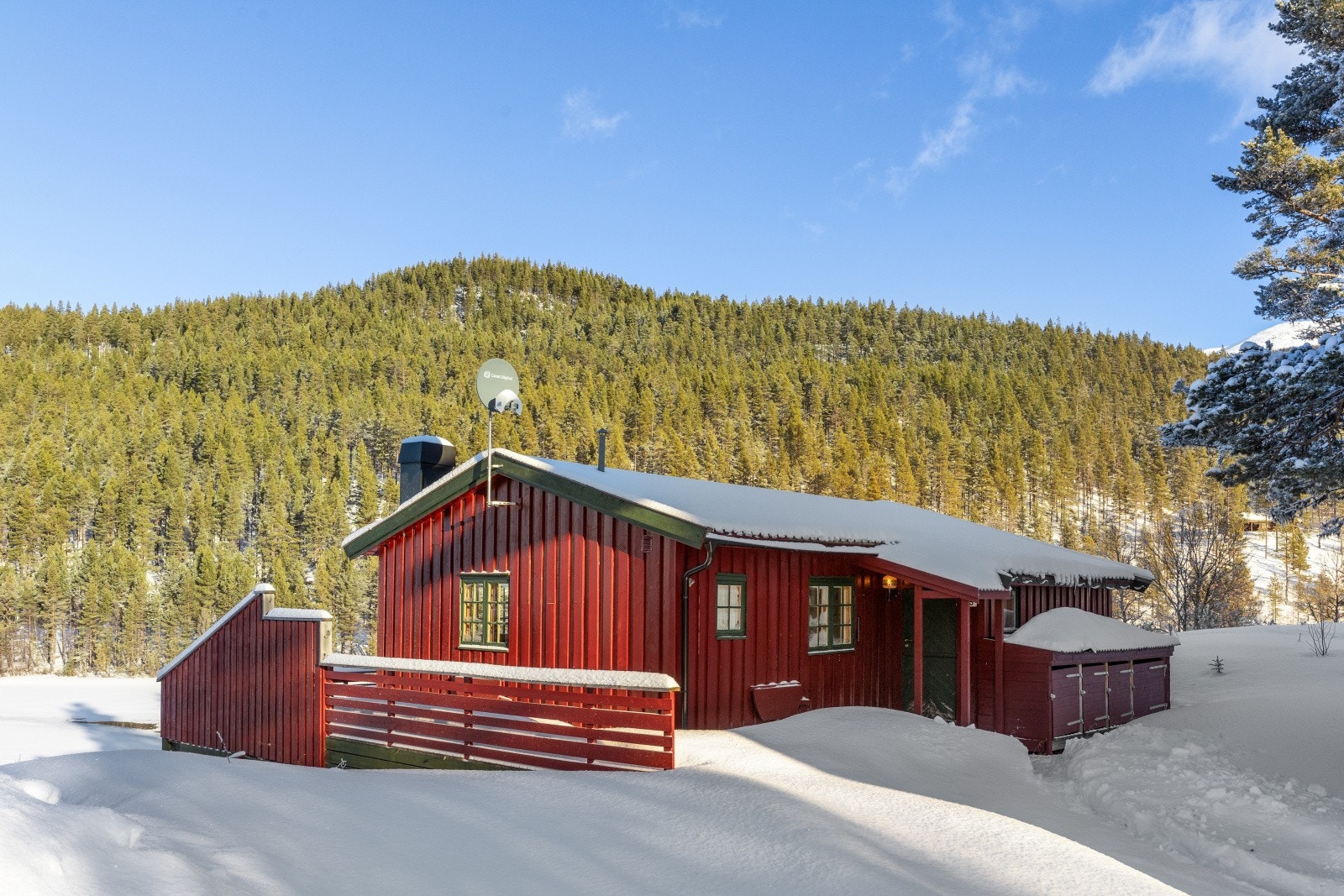 Hytta sett mot øst - vinter Galleribilde