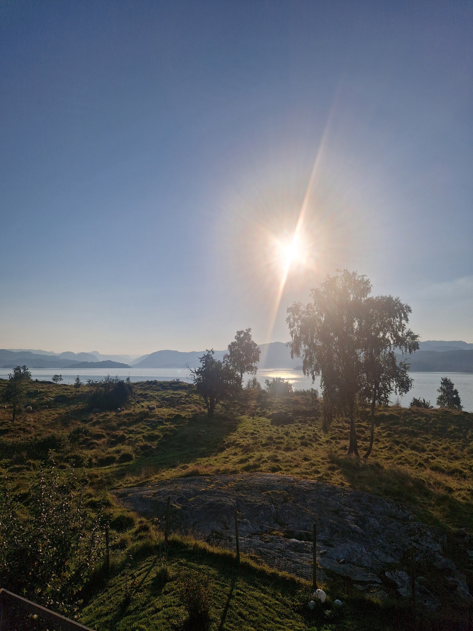 Utsikt mot sjøen fra 2.etg Galleribilde
