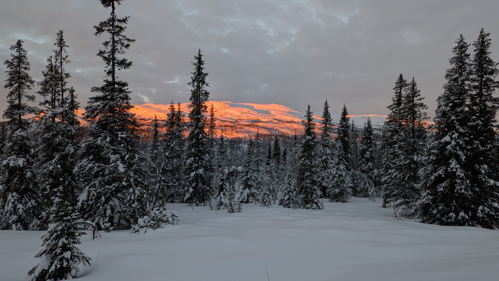 Morgensol og vakker utsikt mot Synnfjell fra stuen Galleribilde