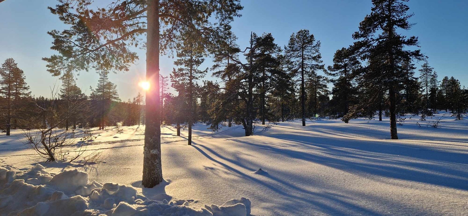 Utsyn fra terassen Galleribilde