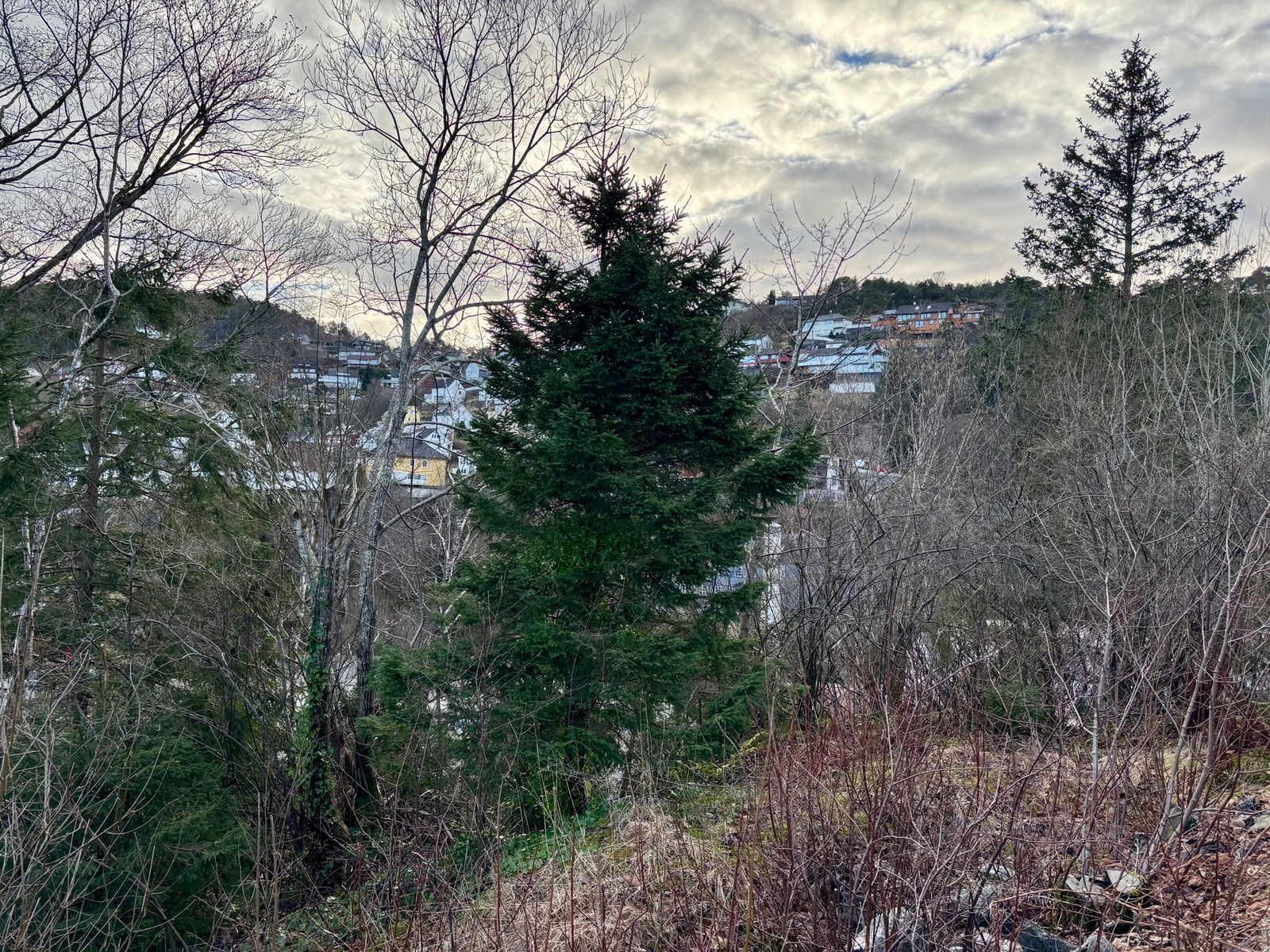 Utsikt mot Saetrefjellet Galleribilde