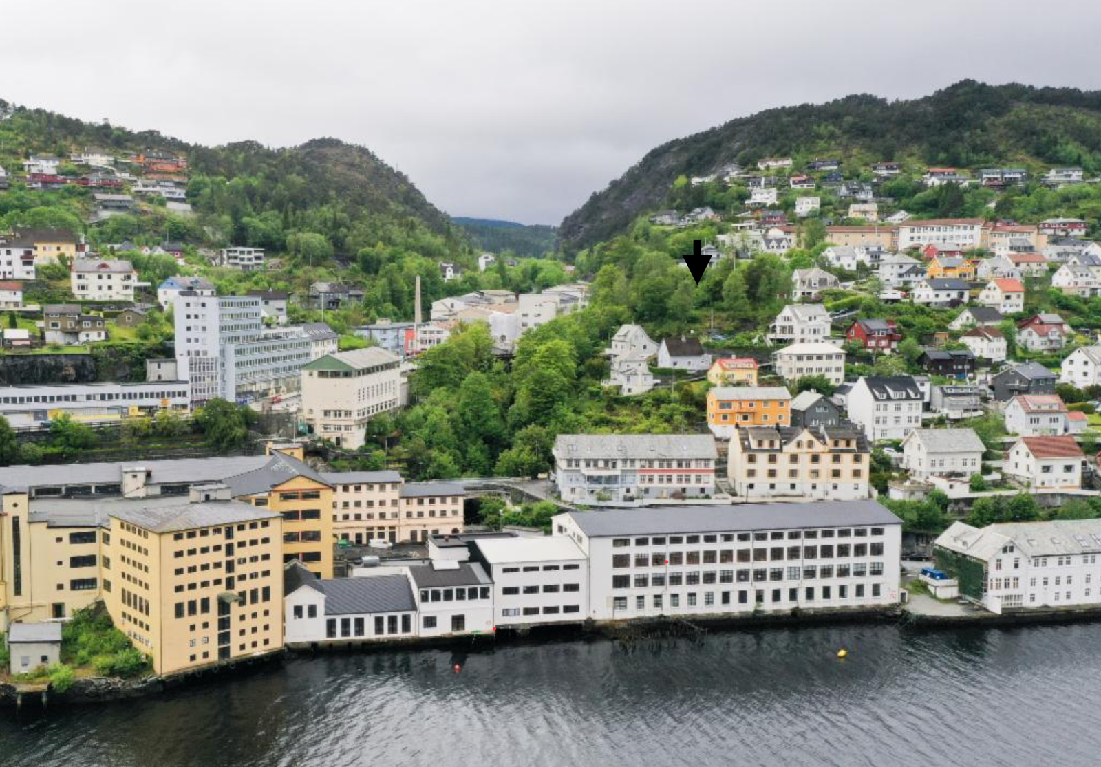 Tomt sett fra fjorden Galleribilde