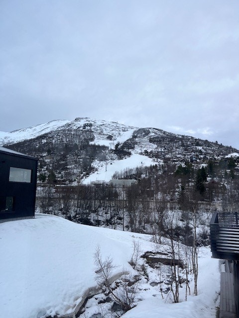 Utsikt mot trekke Galleribilde