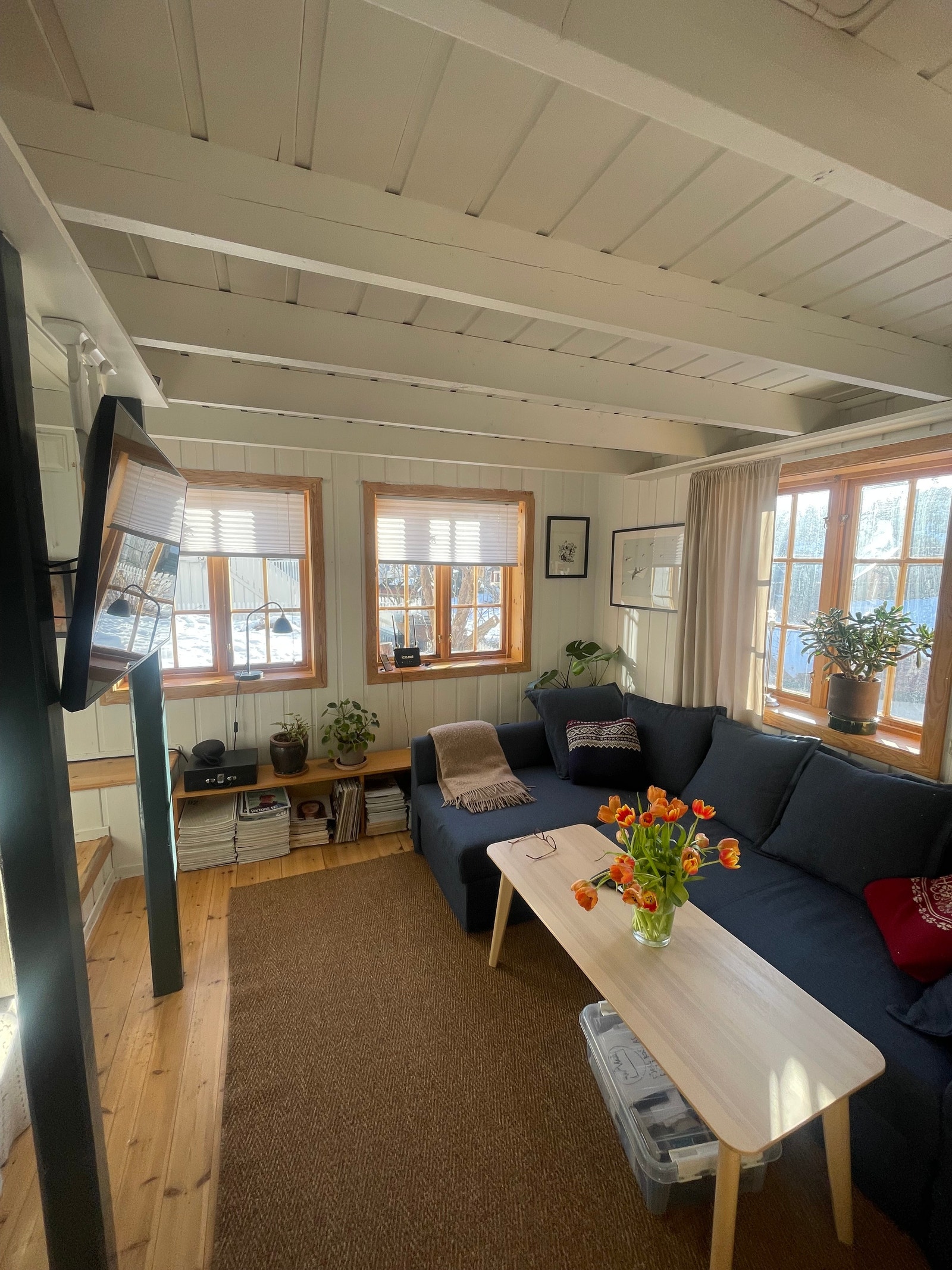 Stue med sovesofa - dobbel seng Galleribilde