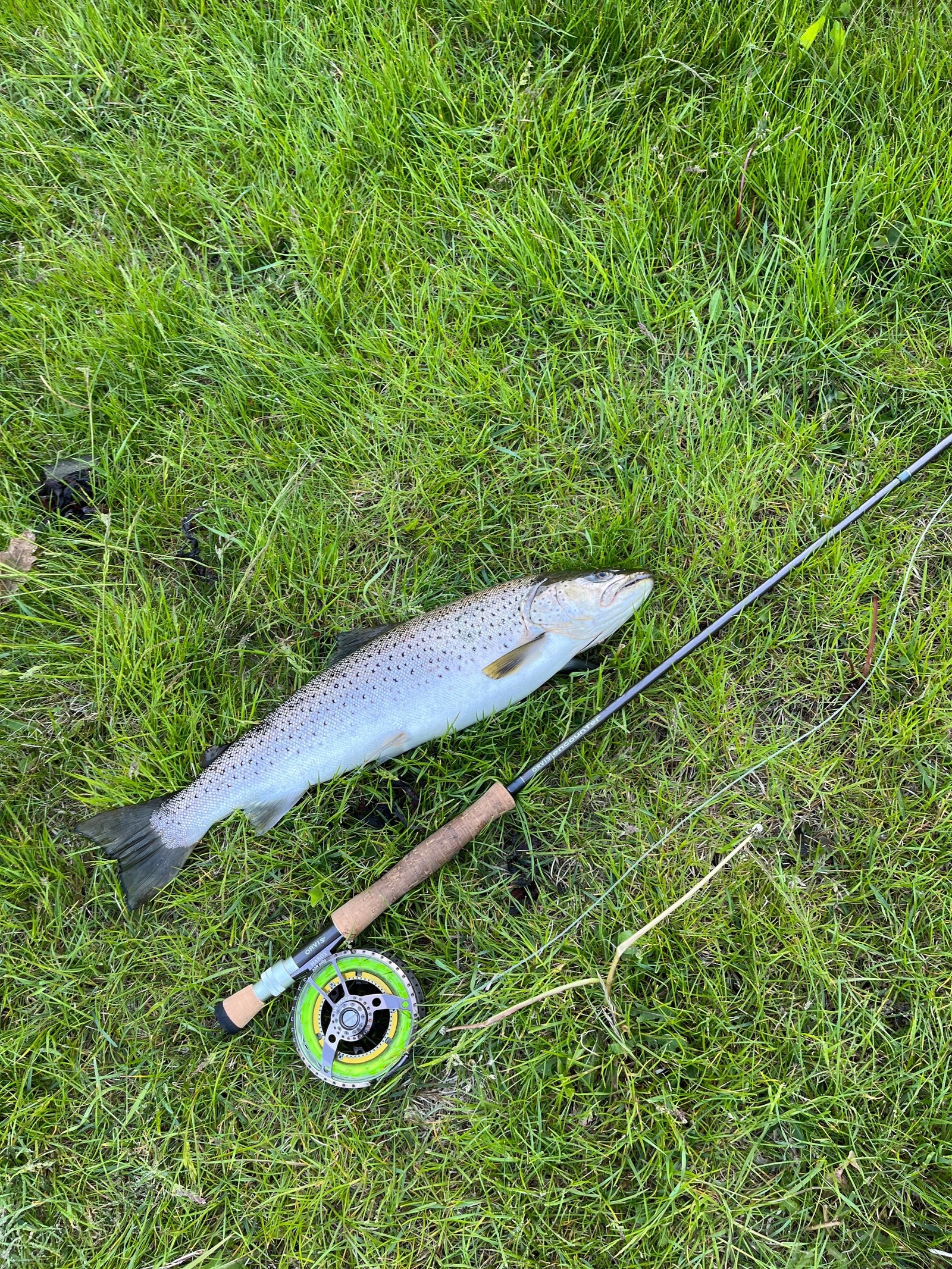 Fiskevann med gode fangst muligheter Galleribilde