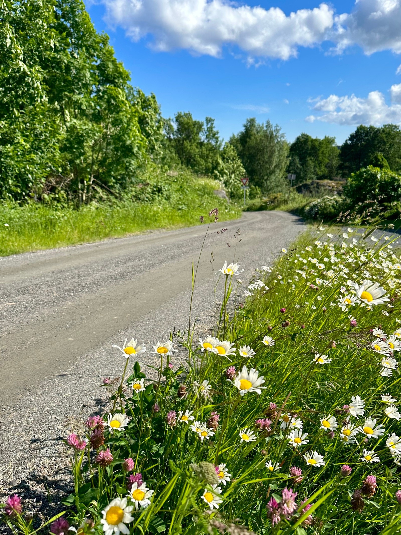 Fin turveier rundt forbi Galleribilde