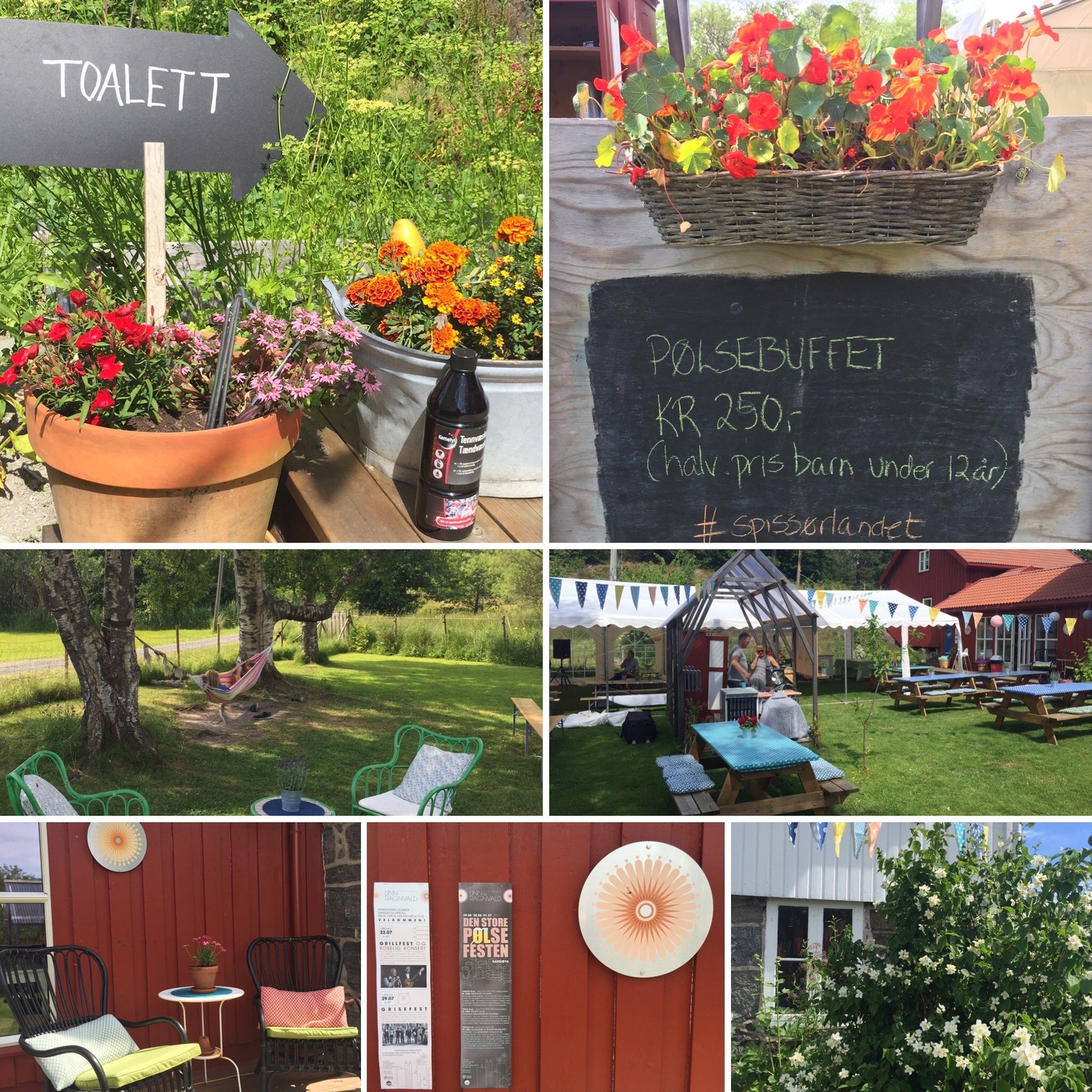 Besøk vakre Sandøy med flere restauranter og gallerier Galleribilde