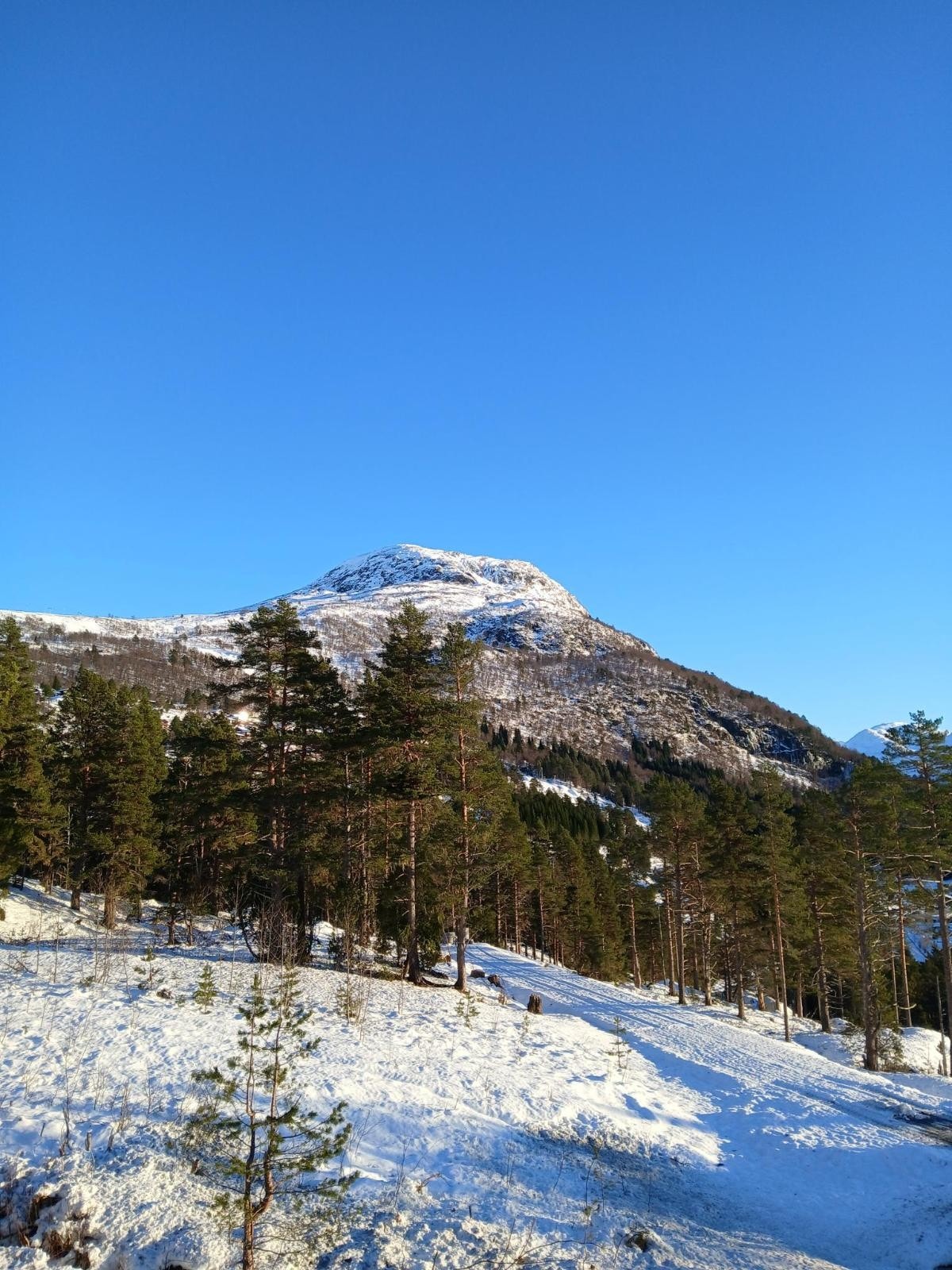Nydelig utsikt fra feltet Galleribilde