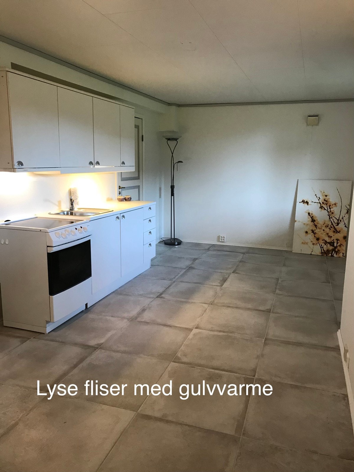 Stue og kjøkken- nymalt Galleribilde